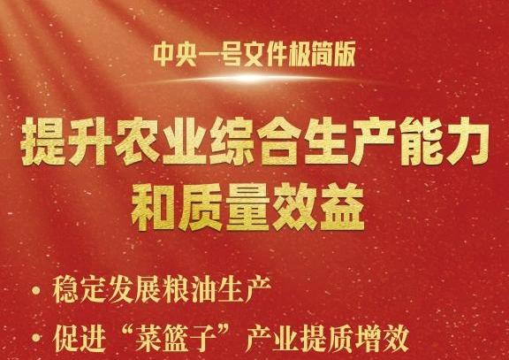 中央一號文件，極簡版來了！